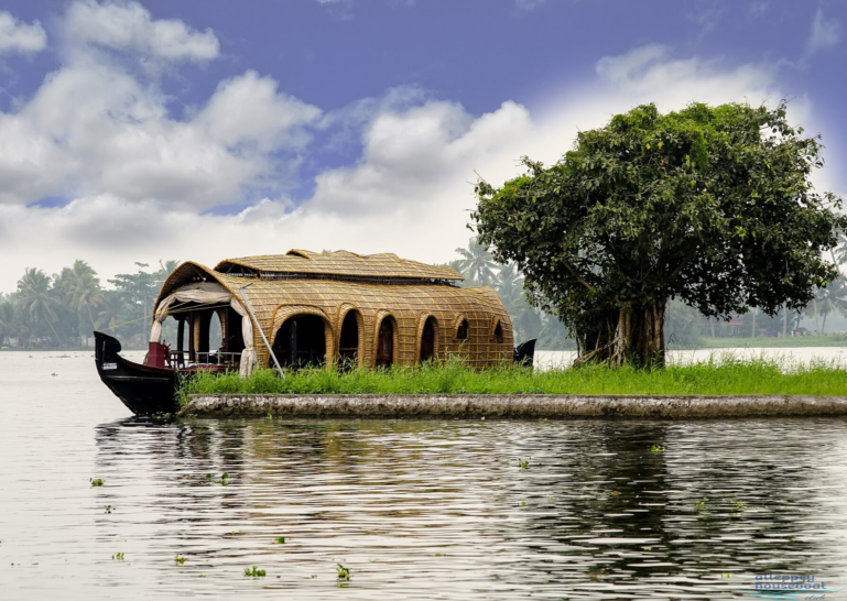 Private Houseboat Day Cruise in Alappuzha Backwaters Kerala